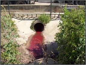 Illicit Discharge coming out of a pipe