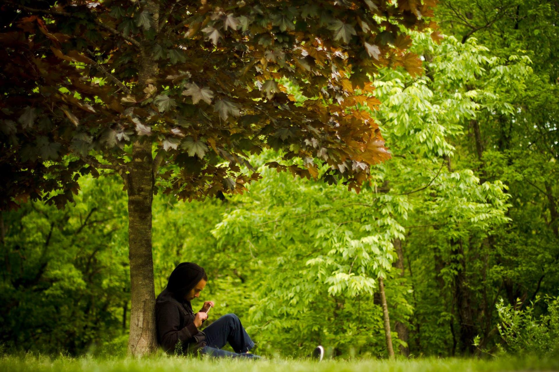 Georgie under a tree