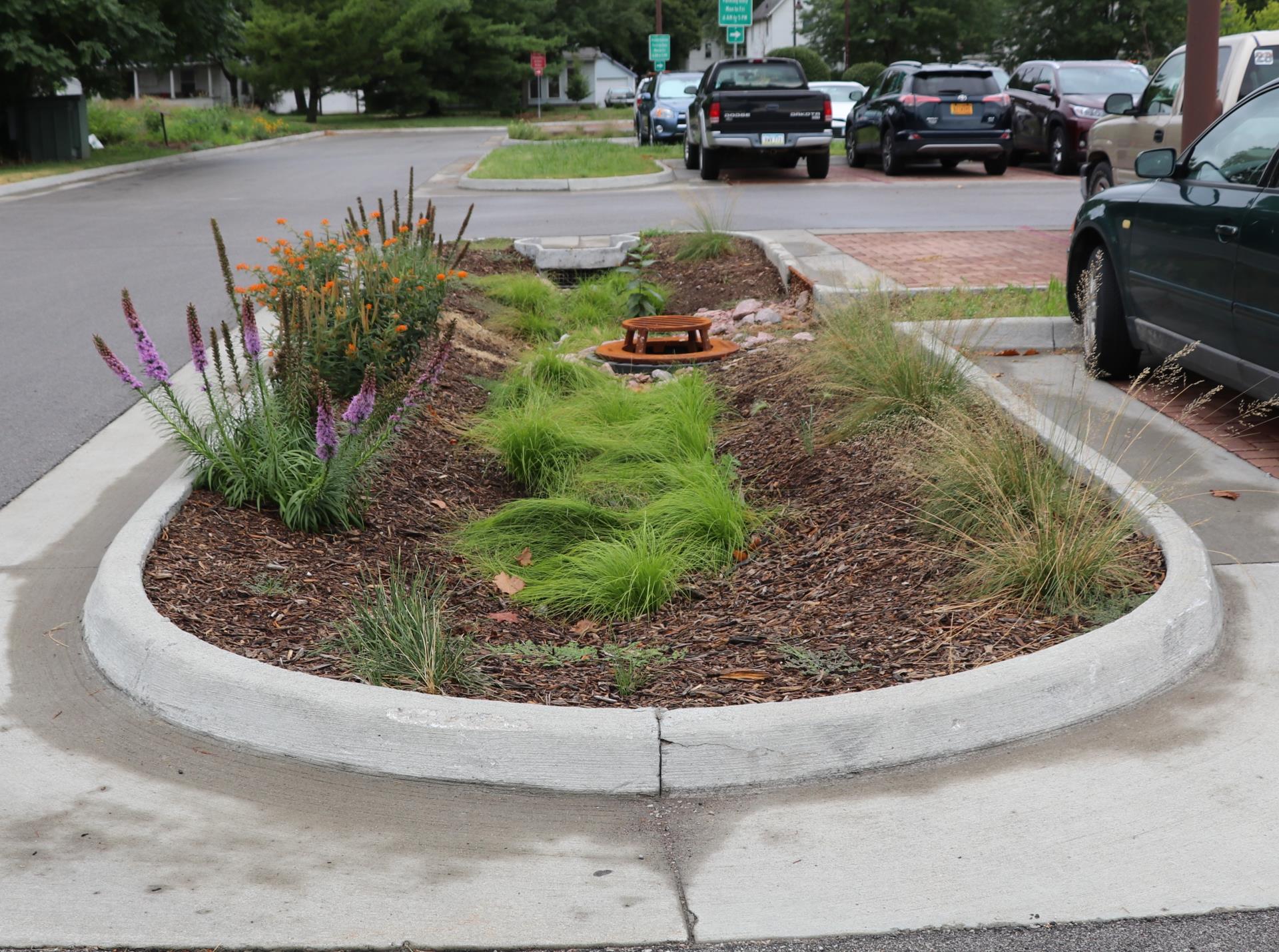 Biorention cell at City Hall parking lot