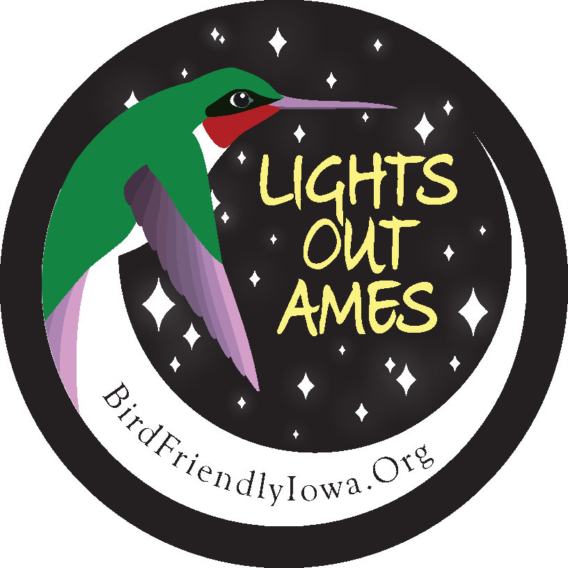 Lights Out Ames Logo 8-24-23