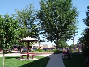 Tom Evans Plaza