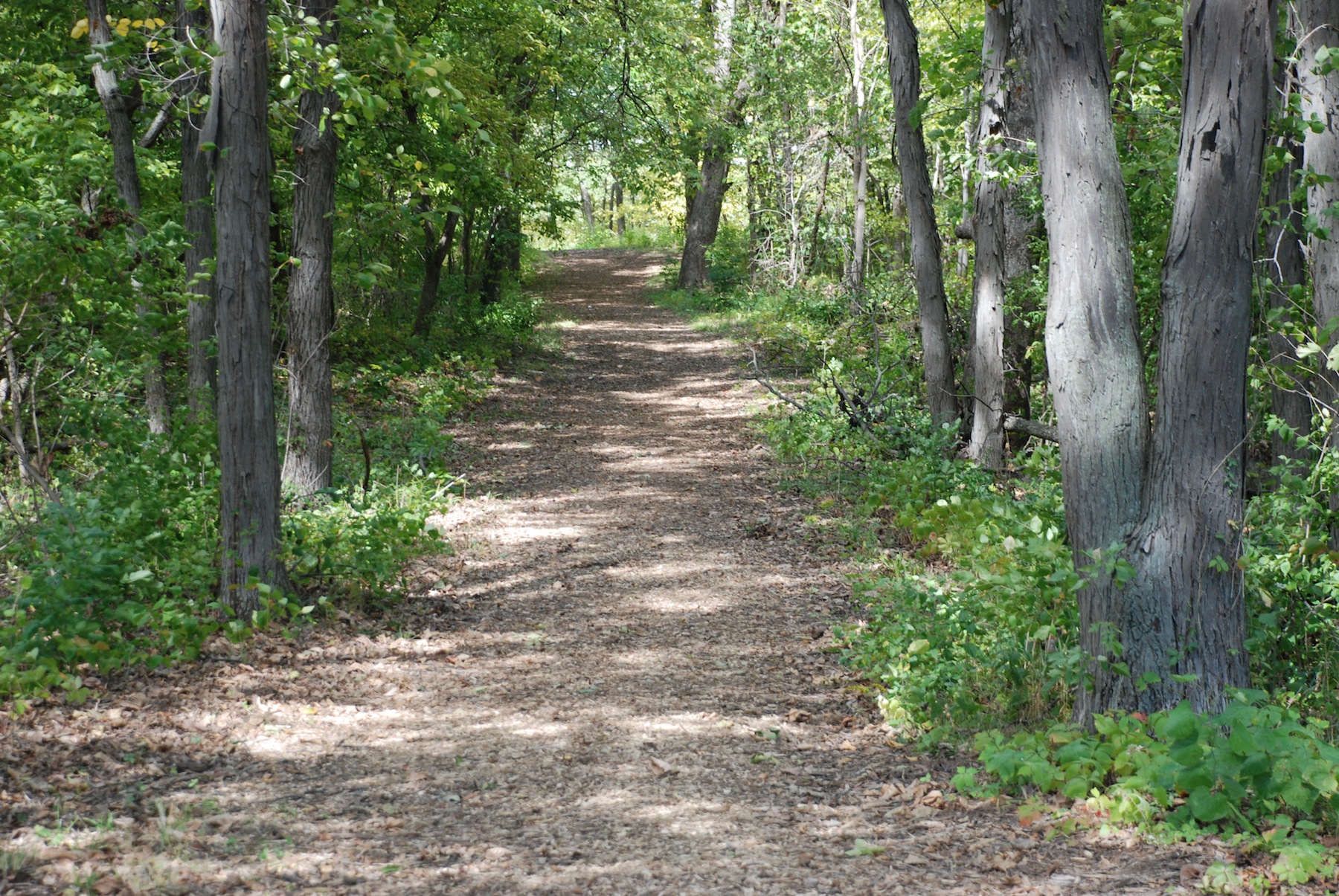 Ames Hiking trail