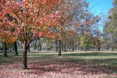 Brookside Park