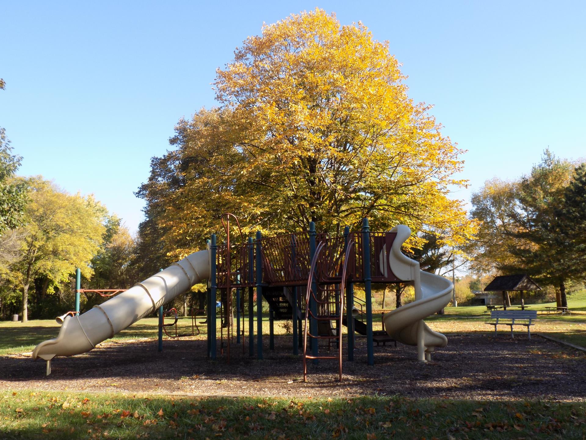 Playground equipment near a large tree at Stuart Smith park