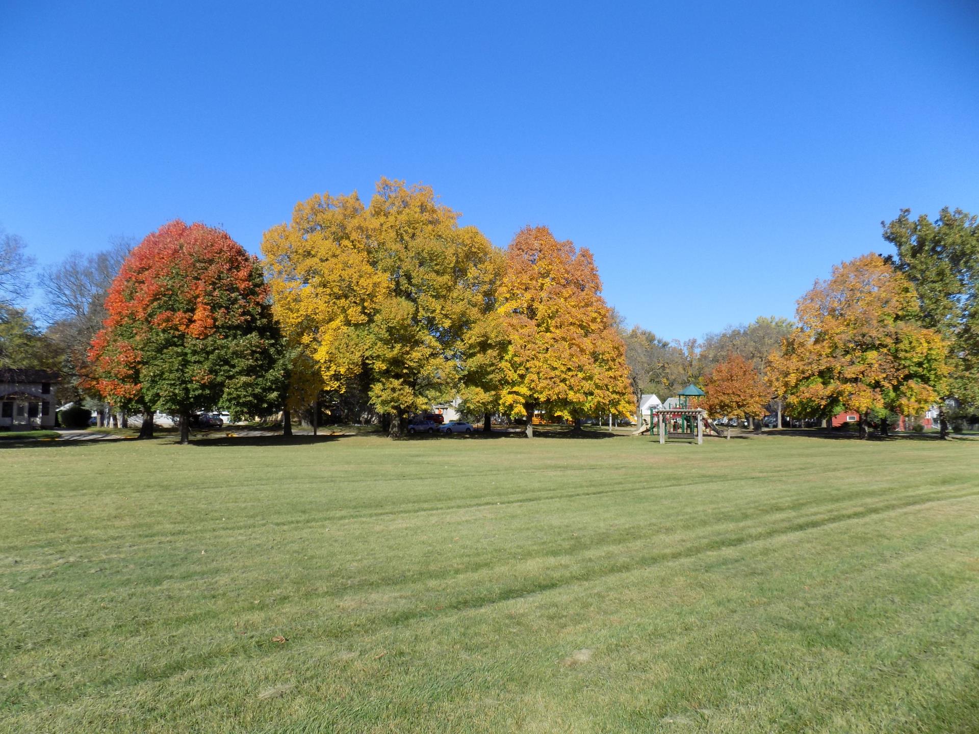 O'Neil Park Green Space